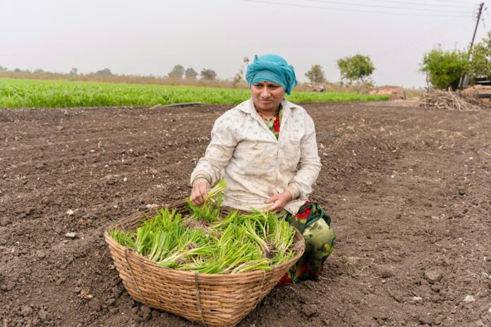 Maharashtra farmer subsidy schemes complete guide