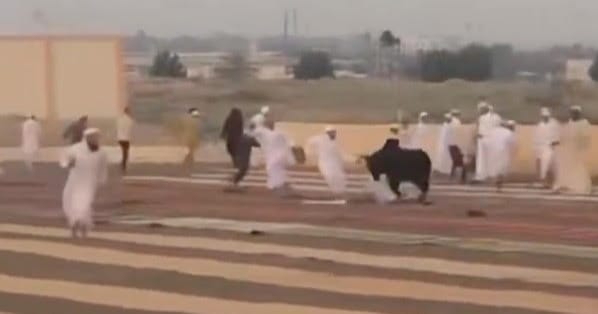 Escaped bull storms an open-air Eid Al Adha prayer area in Oman, triggering panic and disrupting holiday gathering Escaped bull storms an open-air Eid Al Adha prayer area in Oman, triggering panic and disrupting holiday gathering