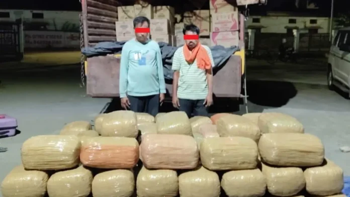 Maharashtra drug seizure: NCB seizes 702 kg ganja in Maharashtra, two held in interstate drug bust Maharashtra drug seizure: NCB seizes 702 kg ganja in Maharashtra, two held in interstate drug bust